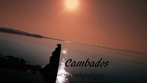 Cambados desde el aire.