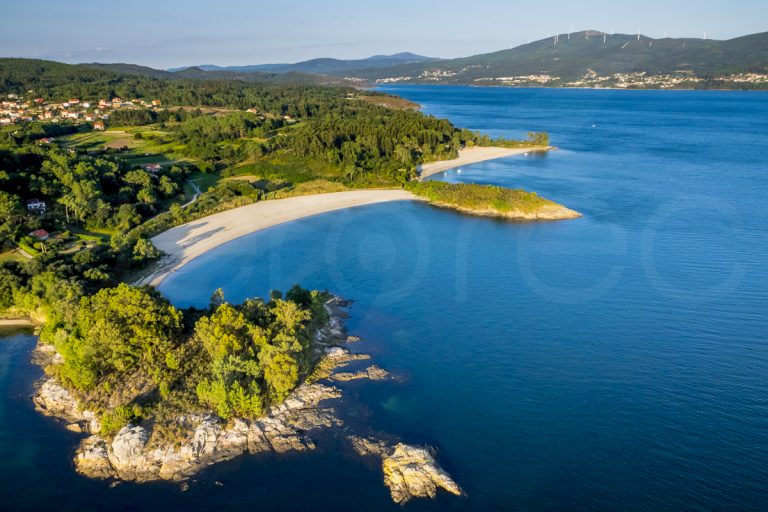 Arousa Norte, Siempre (LSE)