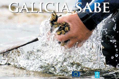 Galicia Sabe 2014